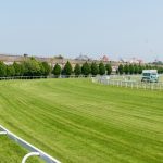 競馬予想サイトの選び方について