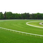 競馬の予想について教えて下さい。