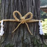 神社本庁の仕組みと歴史
